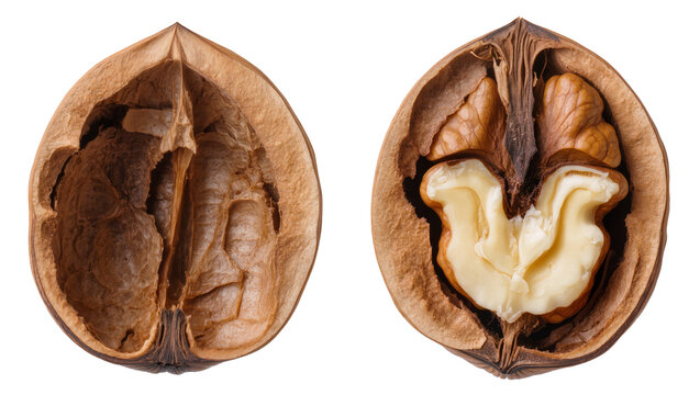 Isolated cracked walnut halves showing an empty shell and the fresh healthy nut kernel