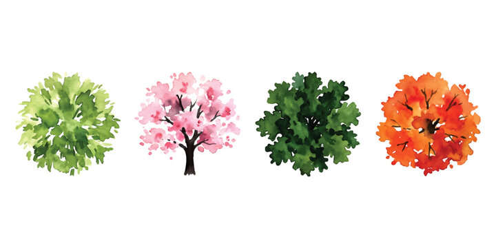 Set of four different trees with green pink and orange leaves viewed from above