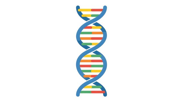 Flat vector illustration of a colorful DNA double helix representing genetics, molecular biology, biotechnology, genome research, and life science concepts. Perfect for scientific, medical, and educat