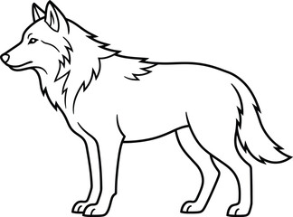 Fototapeta premium wolf isolated on white background
