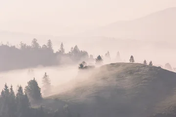 Fotobehang Grijs summer nature scenery, scenic sunset view in the mountains  © Rushvol