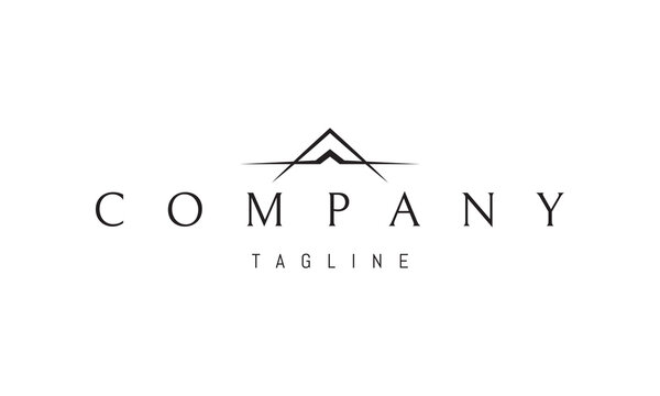 A vector logo featuring an abstract drone above a mountain symbolizing exploration, aerial technology, precision and limitless adventure.
