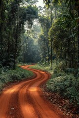 Fototapeta premium winding red dirt road through dense sunlit tropical forest, serene and inviting morning path