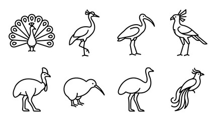 Obraz premium Black Exotic Bird Collection Line Art Vector Illustration Icon Set with Peacock Crane Pelican Hoopoe Cassowary Kiwi Ostrich and Bird of Paradise