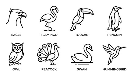 Obraz premium Bird Species Line Art Icon Set Featuring Eagle, Flamingo, Toucan, Penguin, Owl, Peacock, Swan and Hummingbird Vector Illustration