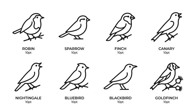 Garden and songbirds line art icons set, black linear vector elements with robin, sparrow, finch, singing canary, nightingale, bluebird, blackbird and goldfinch on berry branchGarden 