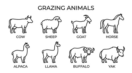 Fototapeta premium Grazing Farm Animal Outline Icon Collection in Minimal Monoline Livestock Line Art Style Vector Illustration Set