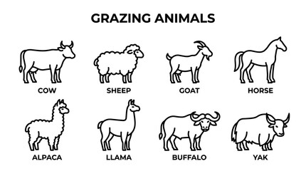 Fototapeta premium Grazing Farm Animals Icon Set with Cow, Sheep, Goat, Horse, Alpaca, Llama, Buffalo and Yak, Minimal Black Outline Vector Collection