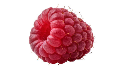 Isolated ripe red raspberry, fresh and juicy organic berry fruit, healthy sweet summer snack © ROCKETX