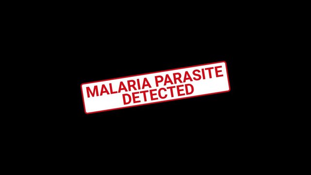 Malaria Parasite Detected Stamp Animation