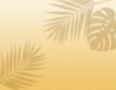 A minimal summer abstract background featuring a soft yellow gradient. Gentle sunlight casts palm and monstera leaf shadows across the warm, smooth surface. It creates a tranquil and relaxing tropical