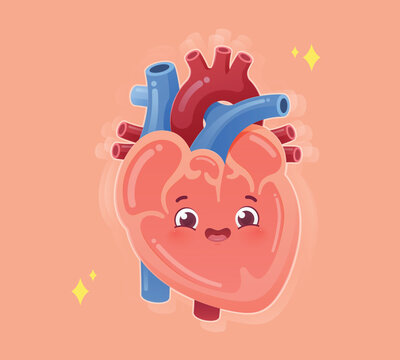 Cute healthy heart cartoon character showing normal heartbeat, wellness, anatomy, healthcare and cardiovascular health.