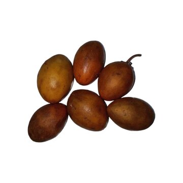 Fresh chikoo fruits isolated on white background. Sapodilla fruit, naseberry, sapota, manilkara zapota.