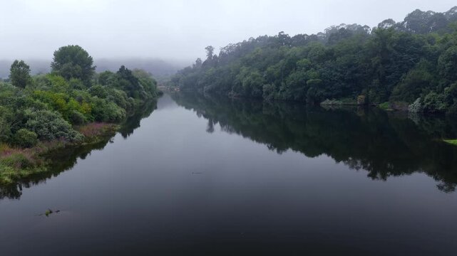 Aerial View of Lush Riparian Forest Along the R&iacute;o Mi&ntilde;o and Rio Minho Border Between Galicia Spain and Portugal