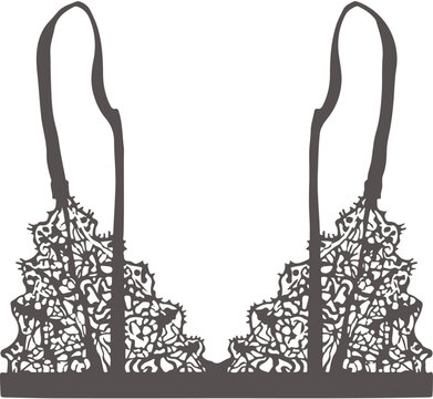 Bra vector illustration