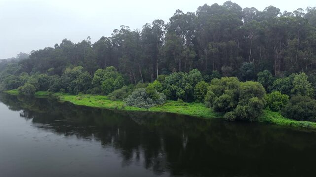 Aerial View of Lush Riparian Forest Along the R&iacute;o Mi&ntilde;o and Rio Minho Border Between Galicia Spain and Portugal