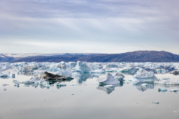 East greenland bay of ice 2 © Till