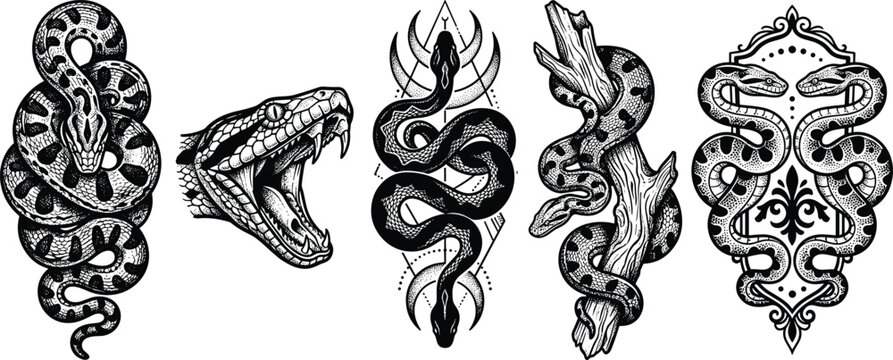 Vintage Snake Engraving Collection with Coiled Serpents, Striking Cobra Skull, Mystical Reptile Emblems, and Hand Drawn Tattoo Style Vector Illustrations