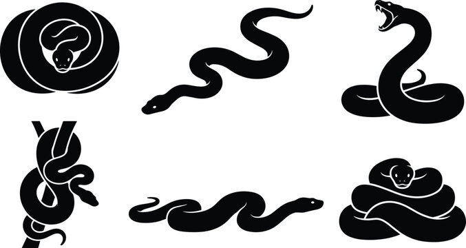 Snake Silhouette Collection with Coiled, Slithering, Striking, and Wrapped Serpent Shapes, Black Reptile Vector Set for Wildlife Logo and Tattoo Designs