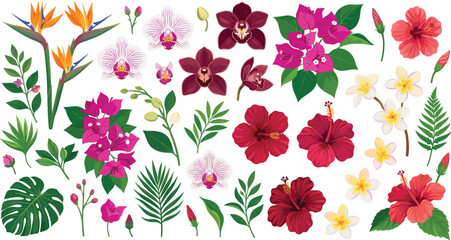 Tropical flowers and exotic leaves vector set with orchid hibiscus frangipani bougainvillea bird of paradise isolated on white © Mijanur