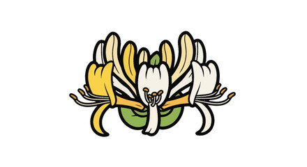 Yellow and white honeysuckle blossom illustration. © Ambon