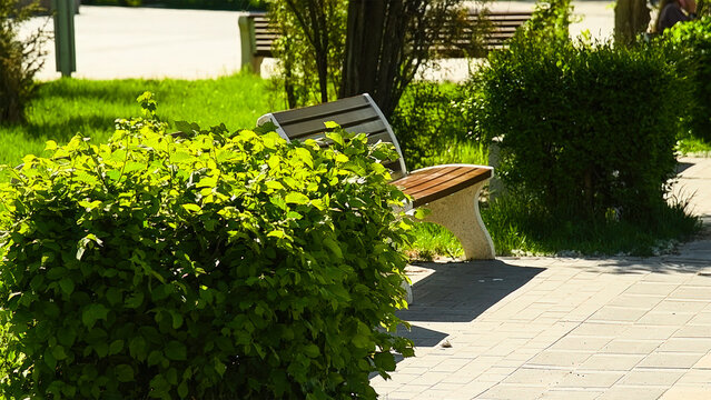 Early morning stroll through a public park with benches and lush greenery.