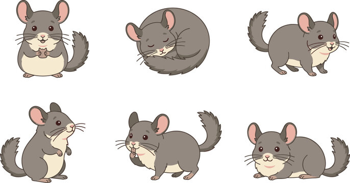 Cute chinchilla cartoon vector illustration collection featuring sitting, standing, walking, sleeping and playful pet rodent character poses isolated on white background