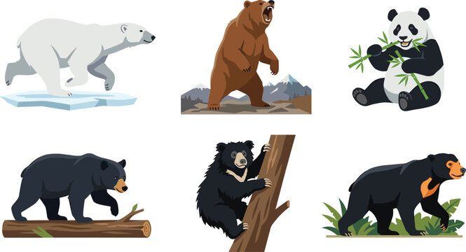 Bear Collection Featuring Polar Bear Brown Bear Panda Black Bear Sun Bear and Sloth Bear Wildlife Vector Illustrations