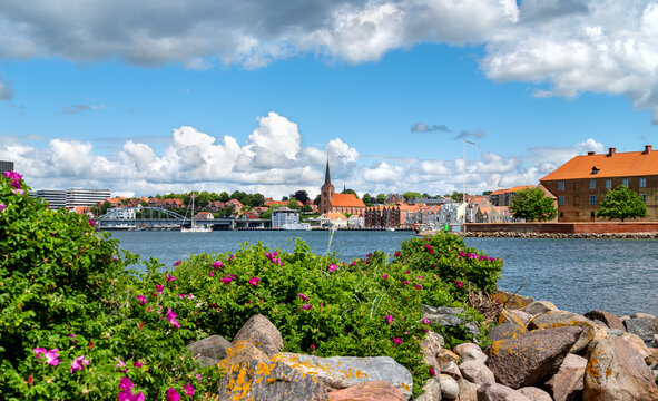 Panoramic view of Flensburg Fjord near Sonderborg with the historic old town, castle, blooming wild roses, rocky shoreline and dramatic summer clouds.Denmark