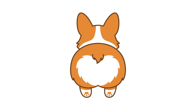 Cute orange and white corgi puppy butt from behind.