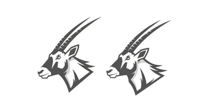Two Oryx Antelope Heads with Long Horns Illustration.
