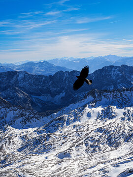 Layers of snow capped mountains with a flying bird in Zugspitze, Germany