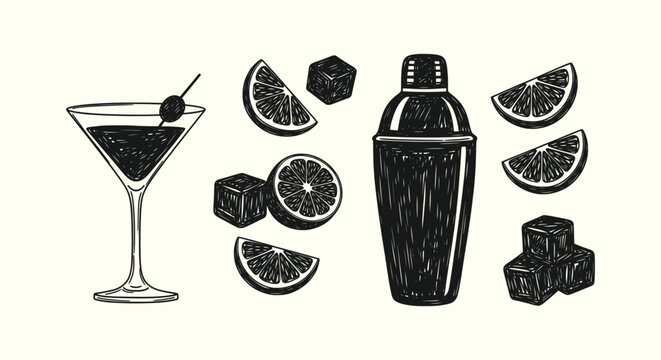 Hand Drawn Cocktail Set with Shaker Martini Glass Orange Slices and Ice Cubes Vector Illustration