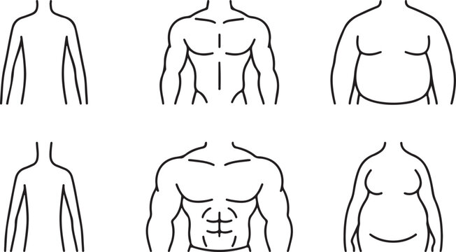 Six simple body shape illustrations for men