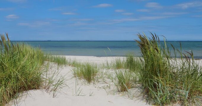 empty sand beach with dune grasses on Baltic Sea background, backdrop in nature scene for travel, vacation and beach holiday, Heidkate, kiel fjord, germany