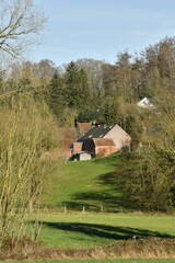 Hameau dissimulé dans un bois à Braine-le-Château (Nivelles) © Photocolorsteph