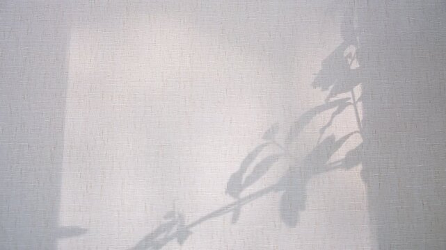 Soft blurred shadows on light grey white. Sunlight, windy, motion,overlay shadow. Minimal style, copy space, template. Delicate aesthetic. Video transition. Presentation, multiple exposure