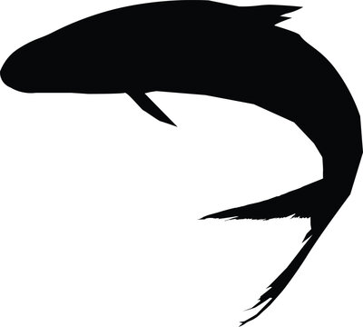 Black silhouette of a jumping fish on a white background marine wildlife illustration