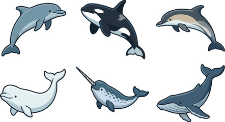 Marine mammals cartoon vector illustration collection featuring dolphin, orca, bottlenose dolphin, beluga whale, narwhal and humpback whale isolated on white background © Yevhenii creative