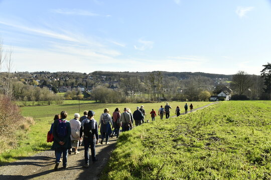 Promenade sous le soleil &agrave; travers une prairie &agrave; Braine-le-Ch&acirc;teau (Nivelles)