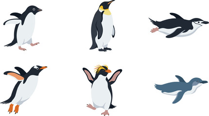 Penguin cartoon vector illustration collection featuring emperor, gentoo, rockhopper and swimming penguin wildlife character poses isolated on white background © Yevhenii creative