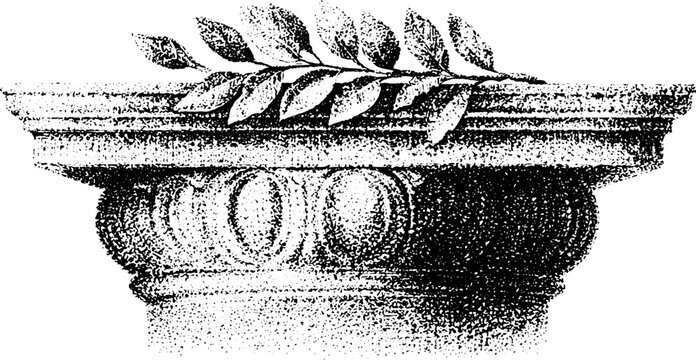 Ornamental column capital with laurel leaf cornice and carved relief tracing for vintage architectural design reference and background element