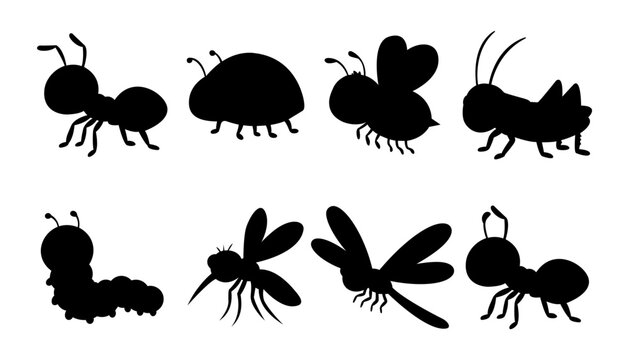 Set of black insect silhouettes including ant beetle bee grasshopper caterpillar mosquito and dragonfly icons