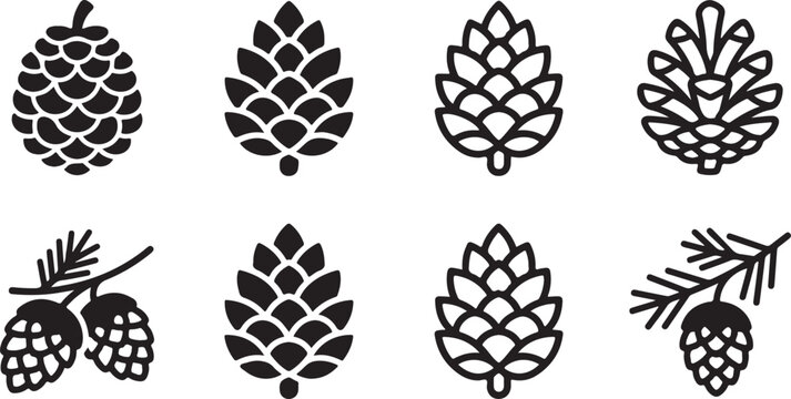 Black and white pine cone and sprig vector illustrations set Vector