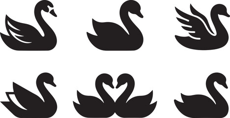 Black swans in various poses and styles Vector © Sazid