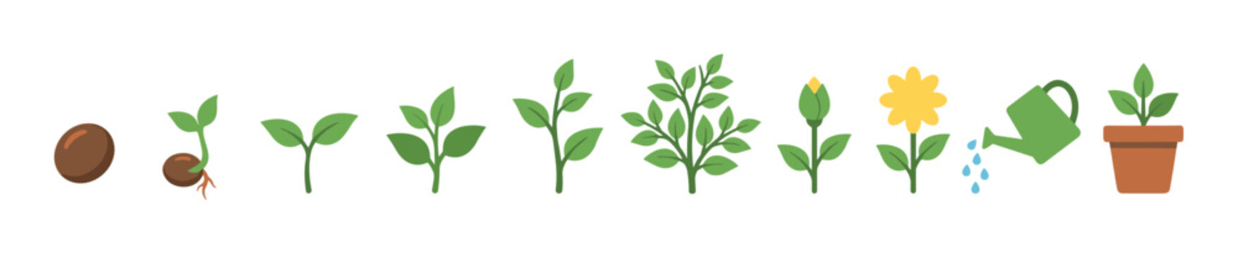 Plant growth and home gardening icon collection featuring seed sprout seedling growing plant flowering bloom watering can and potted houseplant for cultivation stages