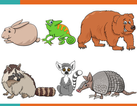 funny cartoon wild animal comic characters collection set