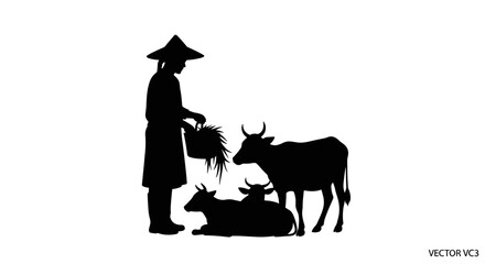 Man Feeding Cow and Calf. © Nb
