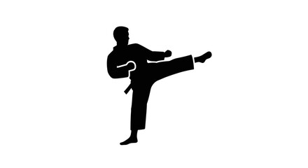 Man doing karate kick pose. © Nb
