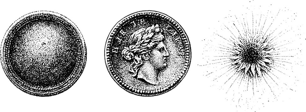 Set of engraved currency medallions and radial starburst security elements for banknote background and anti forgery seal design